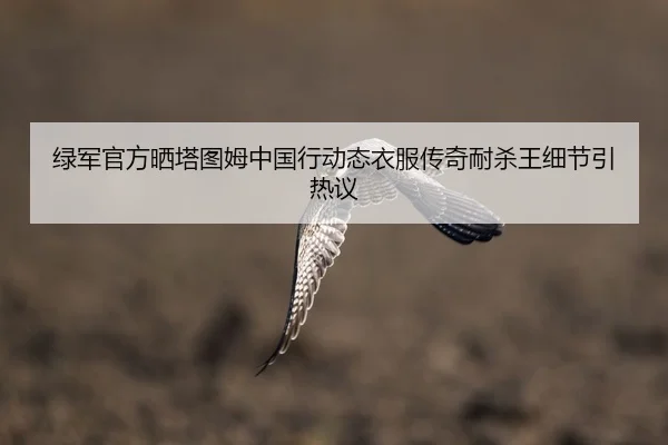 绿军官方晒塔图姆中国行动态衣服传奇耐杀王细节引热议